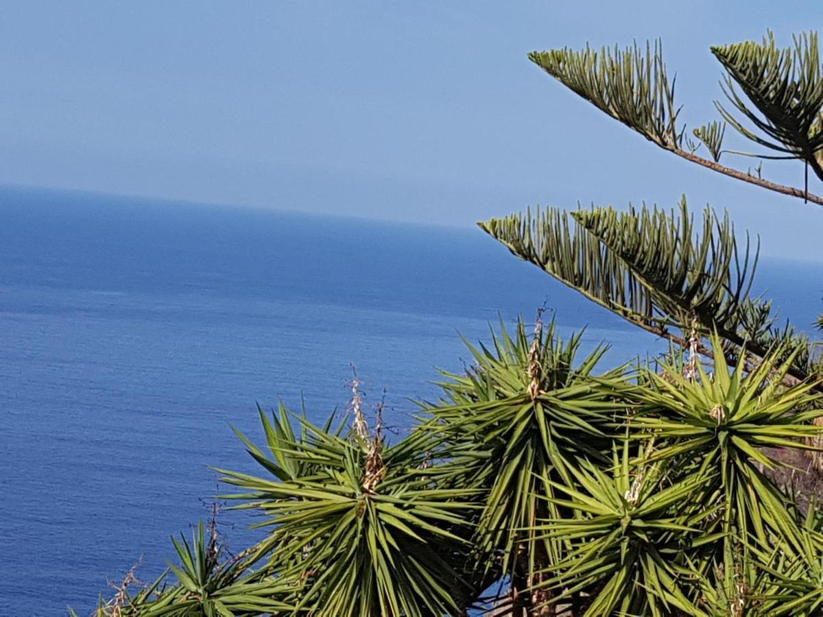 Tenerife Rooms S. C. Santa Cruz de Tenerife Exterior photo